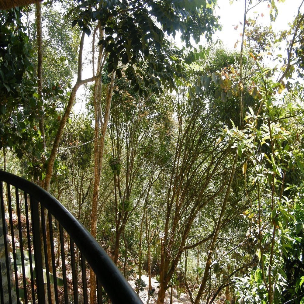 Poetree Thekkady Hotell Exteriör bild
